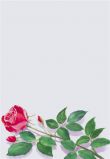 Дизайн-бумага Decadry SPF6680 А4 80г 25л Роза(Rose)